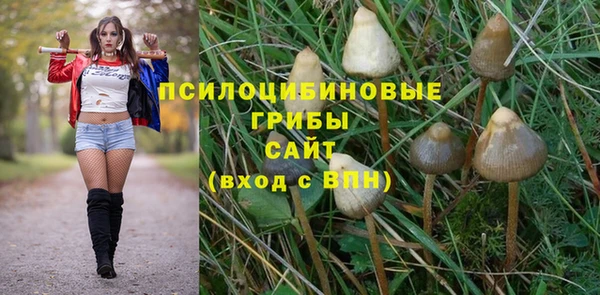 наркотики Ладушкин