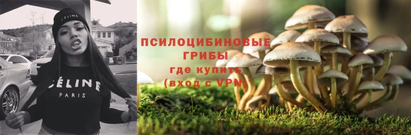 винт Лабытнанги