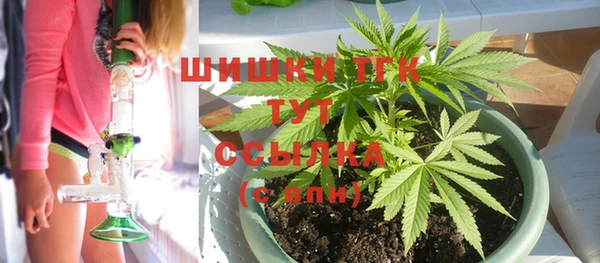 винт Лабытнанги