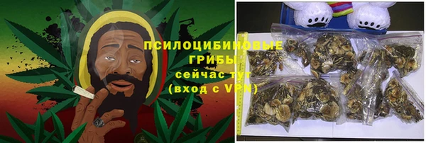 винт Лабытнанги