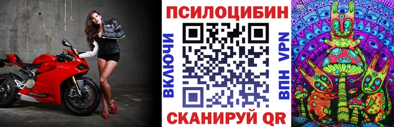 Псилоцибиновые грибы GOLDEN TEACHER  Купить закладки  Устюжна 